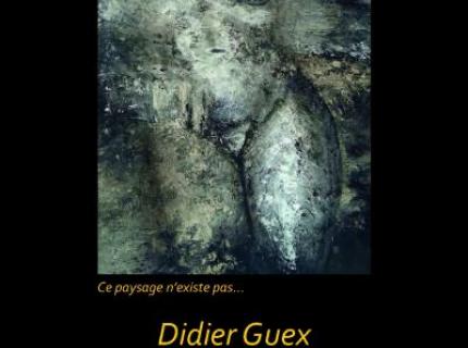 Affiche Didier Guex, ce paysage n&#039;existe pas...