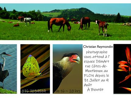 Exposition de Christian Reymondin