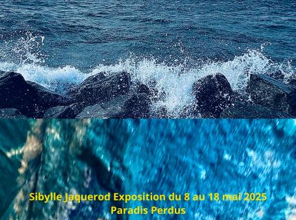 Paradis perdus